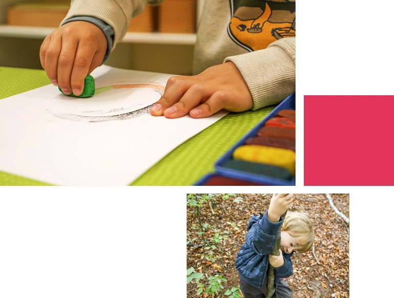 Kinder Montessori Kinderhaus News